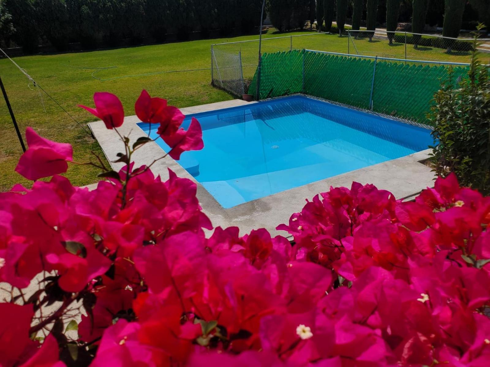 Las Linas Tequisquiapan Exterior photo
